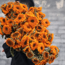 Teddy Double Sunflower Dried Flower Oil Painting Retro Living Room with Real Flowers Yunnan Straight Hair