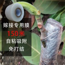  3-15cm Fruit tree grafting film Special grafting belt knotting-free self-adhesive winding film High toughness and puncture-resistant PE film