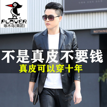 Woodpecker leather leather mens spring and autumn sheep leather suit jacket locomotive clothing thin mens soft leather jacket tide