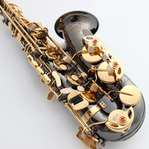 Salma France 54 E-flat alto saxophone instruments wind instruments black nickel-plated gold beginner grade saxophone