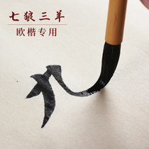 Seven wolves three sheep pure Wolf sheep and brush medium number Ou Kai special Zhongkai brush Wolf and long front pen