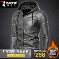 Woodpecker thicker plus woodpecker sheep leather jacket male leather jacket and cycling coat for locomotive coat in autumn and winter