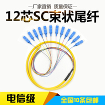 National new 12-core SC bundle pigtail single-mode SC bundle pigtail factory direct support customized