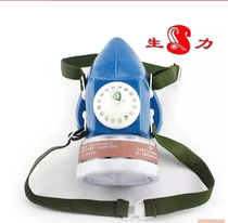 Hangzhou Blue Sky Power Double Tank Single Jar Anti-Poison Mask Active Carbon Spray Paint Self-Suction Filter Mask Mask