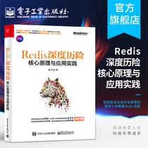 Official genuine deep adventure Core principles and application practices Qian Wenpin Redis tutorial books In-depth understanding of Redis technical principles Advanced backend development Redis
