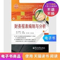 (E-book) Financial statement preparation and analysis