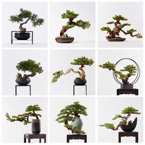 New Chinese-style simulation welcoming pine bonsai office green plant living room hotel porch Luo Hansong floor-to-ceiling decoration ornaments