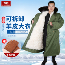 Sheep leather army cotton coat mens fur one coat winter thick warm long northeast cotton padded jacket cold protection