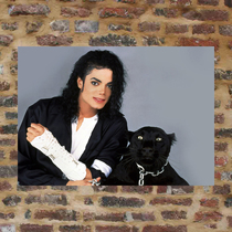 Mickel Jackson posters KDS259 michaeljackson poster Michael Jackson posters