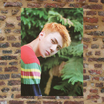 Wu Shixun Poster Custom LSR105 138 full 8 sheets of packages Post A3 photo photo-related perimeter