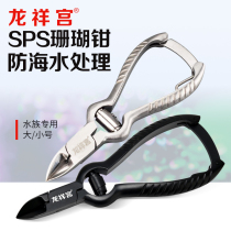 Coral scissors sps black stainless steel fish tank tool scissors tweezers scissors coral tongs straight shear anti-seawater scissors