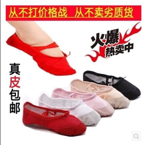 Childrens soft-bottomed dance shoes little boys and girls teachers cat claws Chinese books shoes full of 100