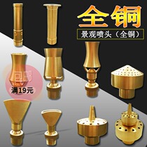 Universal adjustable direct injection nozzle Cedar fireworks Yongquan Mushroom fan-shaped water landscape fountain spray head Pool park