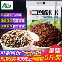 Three-color brown rice new rice 5 pounds of whole grains red rice black rice Brown rice paste whole grains fitness germ 10 fat reduction rice
