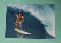 Spot Lana del rey Norman Fucking Rockwell NFR official web signature surfing posters