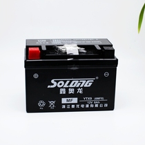 GSX DL GW250 DR300 original motorcycle soup shallow battery 12V8AH battery charger anti-counterfeiting verification