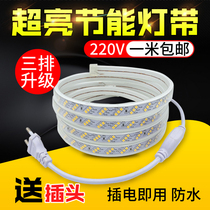 220VLED lamp strip Home outdoor engineering waterproof super bright white light three rows 2835 decorative strip light strip self-adhesive