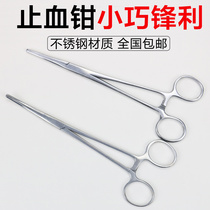 Stainless steel hemostatic forceps cotton cupping pliers straight elbow surgical forceps pet pull straight head tweezers