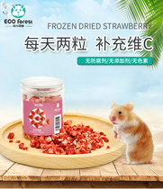 ECO Forest Forest hamster ChinChin guinea pig rabbit snack freeze-dried fruit strawberry granules 12g