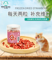 ECO Forest Forest hamster ChinChin guinea pig rabbit snack freeze-dried fruit strawberry granules 12g