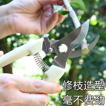 Usiju multi-function stainless steel scissors Home gardening lawn pruning flower cutting fruit picking flower and wood scissors
