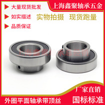 Outer ring plane bearing with top wire CSB202 203 204 205 206 207 208 RZ RS bearing steel