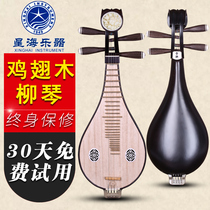 Xinghai Chicken Wing Wood 8415 Liuqin Xinghai Liuqin Musical Instrument Peony Head Chicken Wing Wood Material Official License