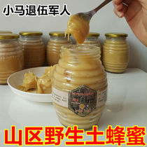 Deep mountain Baihua soil honey Pure natural farm-produced winter crystal peak honey pony pregnant women and children mature honey