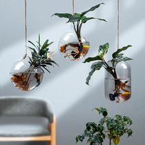 Hanging plant glass bottle vase hydroculture utensils hanging wall flower pot living room bonsai creative transparent wall hanging
