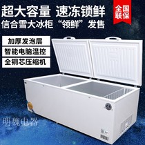 Xinhe snow double temperature freezer Commercial household refrigeration and freezing dual-use horizontal top-opening freezer refrigerator double door direct cooling