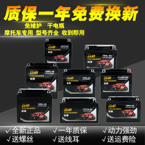 Motorcycle battery 12V9a battery maintenance-free universal 125 scooter 110 beam car dry battery