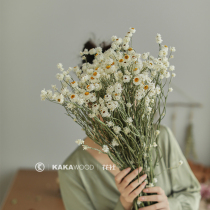 French small Helichrysum small white plum silver chrysanthemum natural dried flower bouquet with small fresh mini imported real flower decorative flower