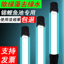 Japan imported double tube germicidal lamp fish pond UV light diving pool outdoor large koi pond algae removal lamp