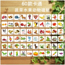 Cartoon vegetables fruits animal refrigerator stickers Enlightenment early education magnetic stickers childrens awareness card teaching