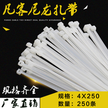 GB White 4*250 250 strip bag width 3 6mm Fanke self-locking nylon cable tie