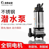 Household 220V stainless steel pump high pressure pump agricultural irrigation high lift small well submersible pump