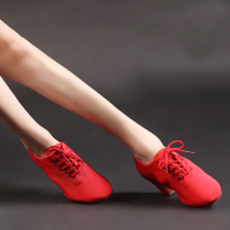 Dynasty Latin dance shoes womens high heel professional dance shoes womens soft bottom square dance teacher shoes adult ladies practice shoes