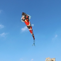 Weifang Kite Seven Colorful Brocade Carp Kite Auspicious Red Carp Kite children Adult large beginners are easy to fly