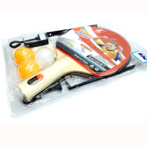 Send 3 balls 1 pair of net 1 pair of net frame Zhibo 101W pong racket suction card table tennis set table tennis racket