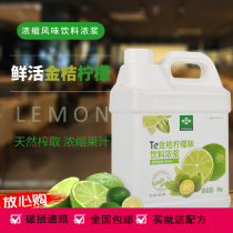 Fresh kumquat lemon juice concentrated juice commercial thick pulp commercial milk tea shop fresh kumquat lemon juice