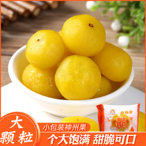 Snack specialty candied fruit preserved fruit green garden independent small package oil citrus fruit fruit sweet crispy fruit 250g