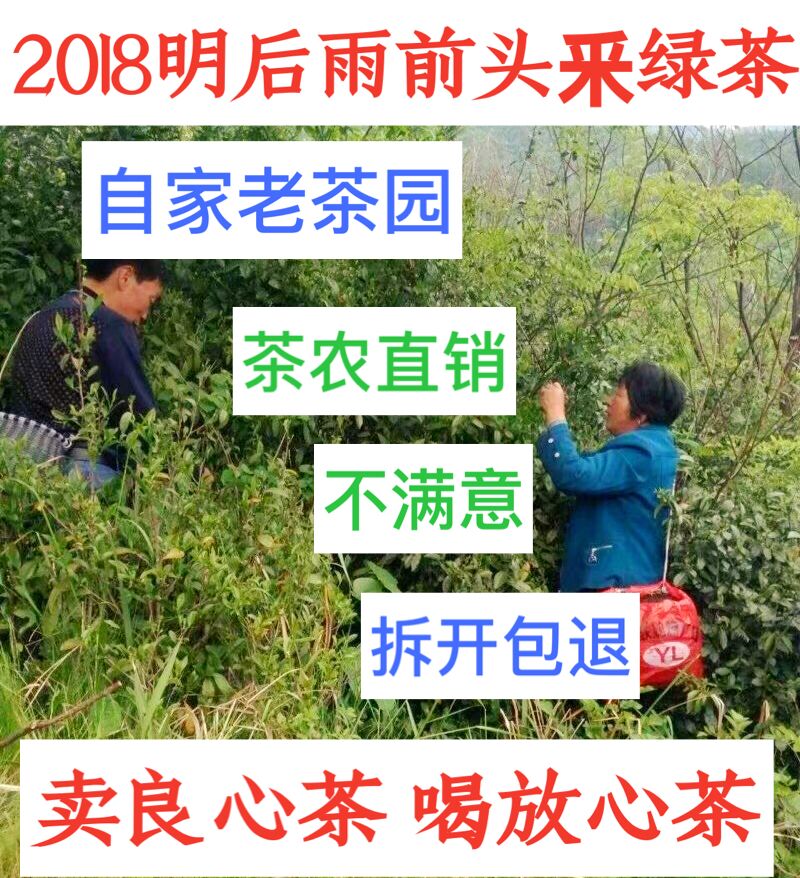 Hubei specialty 2019 new tea authentic spring tea alpine green tea Yingshan cloud Maojian tea tea 500g bag