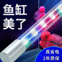 Fish cylinder lamp Zengyan led lighting waterproof small colorful golden dragon fish special hair three color diving grass lamp bright Super
