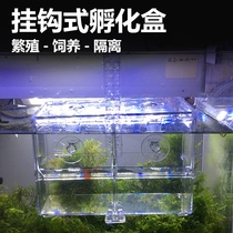 Su-Wan hook-type guppies breeding box fish tank incubator isolation box tropical fish spawning hatching Fry juvenile fish