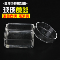 Crystal shrimp feeding basin Glass Shrimp crawling pet feeding plate ornamental snail ornamental shrimp pitching basin feeding air Shrimp Bowl shrimp bowl