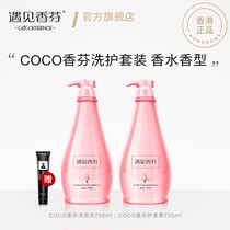 Meet the Xiangfen coco shampoo shower gel full body set lasting fragrance and dandruff official flagship store