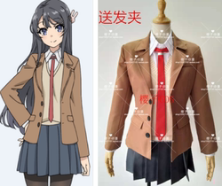 Rascal Does Not Dream of Bunny Girl Senpai Toyohama Nodoka Cosplay costumes