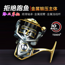 Teben GTS all-metal fishing wheel Rock fishing reel spinning wheel Sea fishing wheel Shallow line cup Luya special fishing wheel