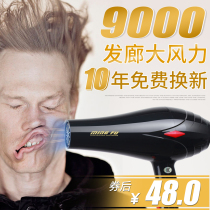 Electric hair dryer household hair salon special barber shop 3000W hair stylist high power 5000W wind turbine static
