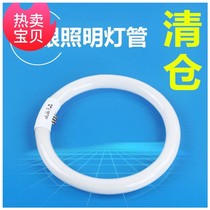Energy saving suction light lamp tube round lighting tube ring t5 t6 ring lamp 40w 40w 32w 22w